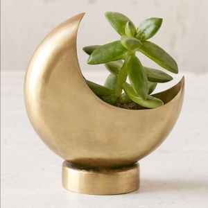 Bronze Half Moon 4” Planter